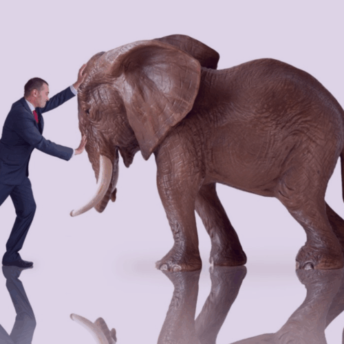 Sales Elephant