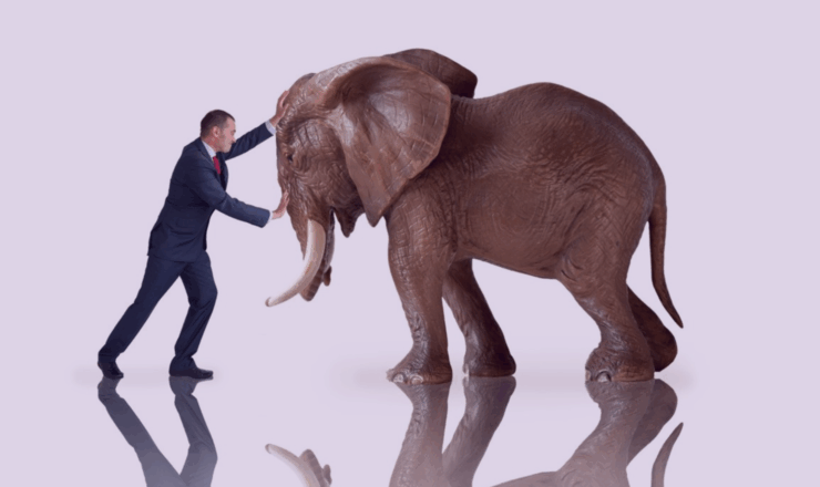 Sales Elephant