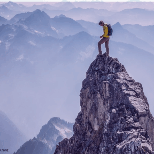 Business Transformation | Human Capital Strategy